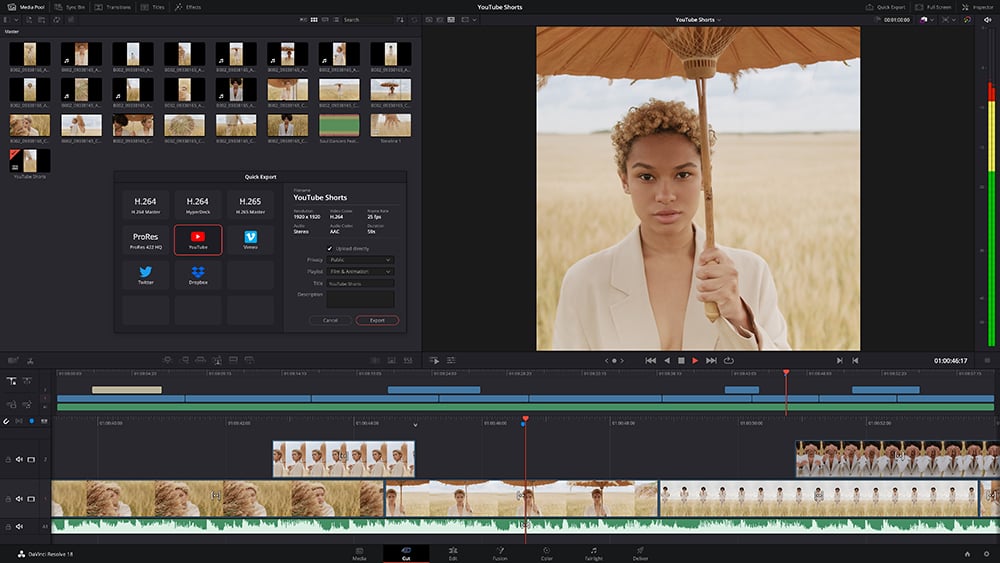 Davinci resolve update